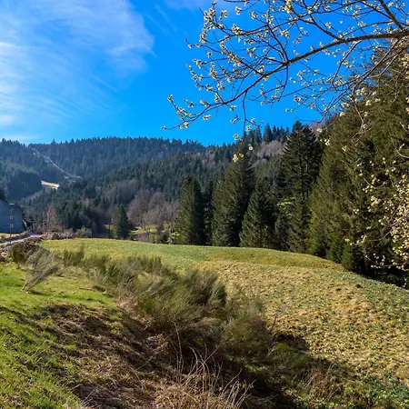 Les Brimbelles Appt 500m * Gérardmer